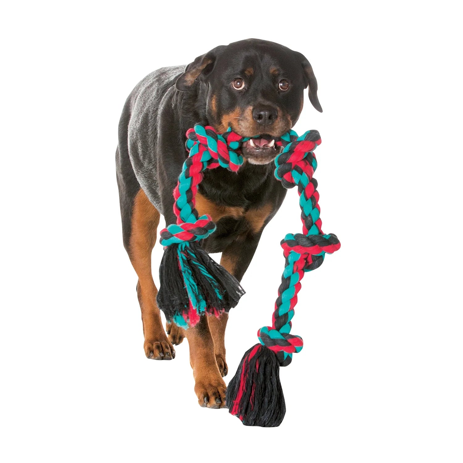 Flossy Masticables Mezcla De Algodón 3 Nudos Cuerda Tirador Perro Juguete, Extra Grande, 36"