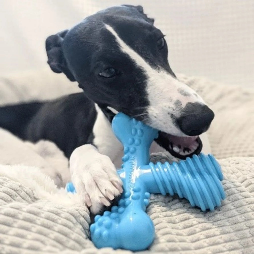 Juguete Para Perro Power Chew Comfort Hold X Bone, Juguete Para Masticar, Sabor a Res, Grande, 1 Unidad
